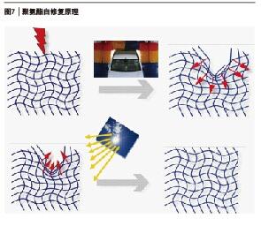 �D7 �ۚ������ޏ�ԭ��